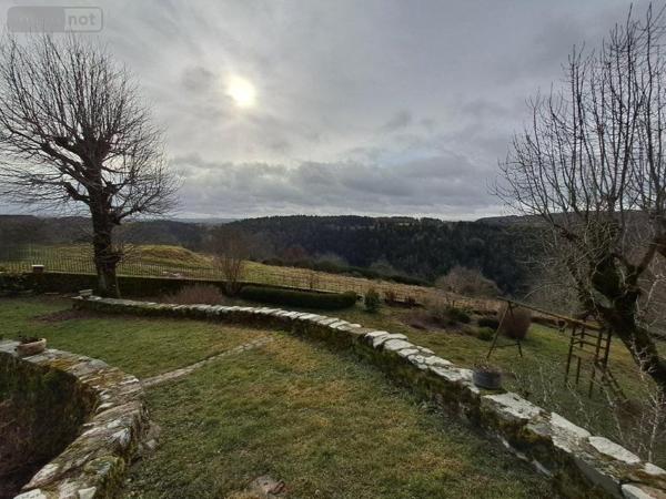 Maison à vendre à Neuvéglise-sur-Truyère dans le Cantal (15260), ref : 044/1262