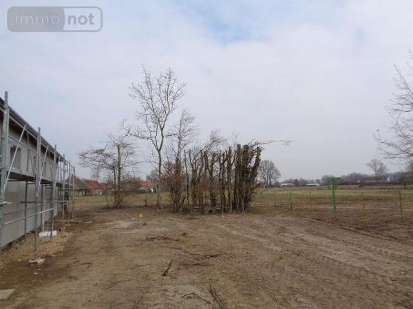 Maison individuelle à louer à Saint-Germain-du-Plain en Saône-et-Loire (71370), ref : STG-L1