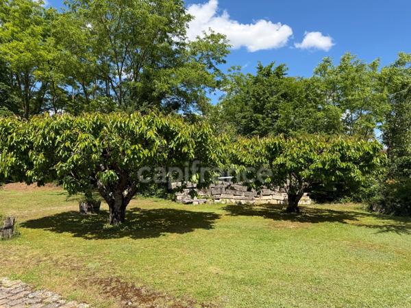 Maison à vendre CHAMPS SUR YONNE (89) Magnifique propriété de 272 m² 6 Chambres Piscine Terrain de 4800 m2