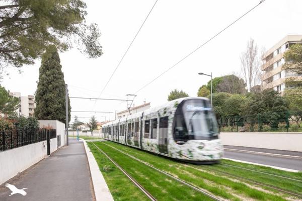 Appartement à vendre |  Montpellier |  4 pièces | 99 m²