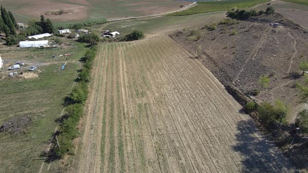 Limoux - Terrain à bâtir d'environ 6 800m²