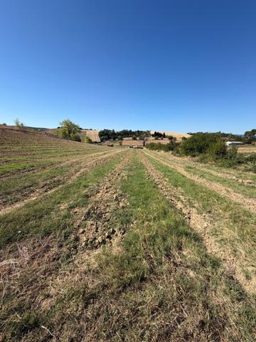 Limoux - Terrain à bâtir d'environ 6 800m²