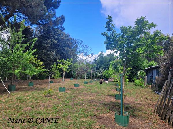 Maison à vendre 4 pièces GABARRET (40)