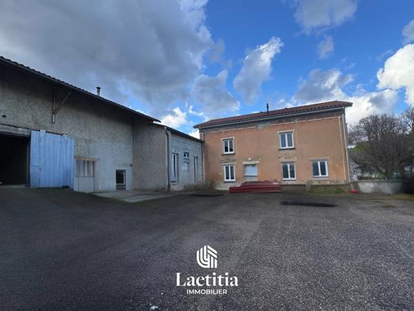 À vendre maison avec dépendances et terrain