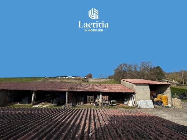 À vendre maison avec dépendances et terrain