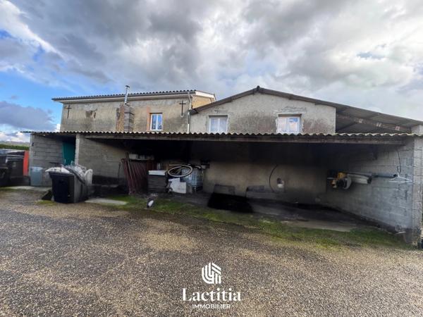 À vendre maison avec dépendances et terrain