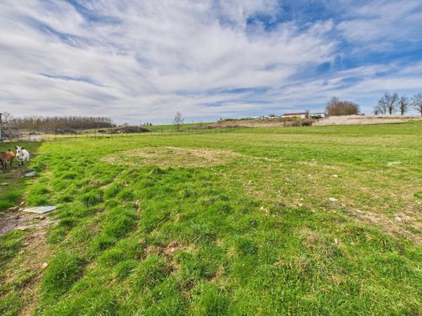 À vendre maison avec dépendances et terrain