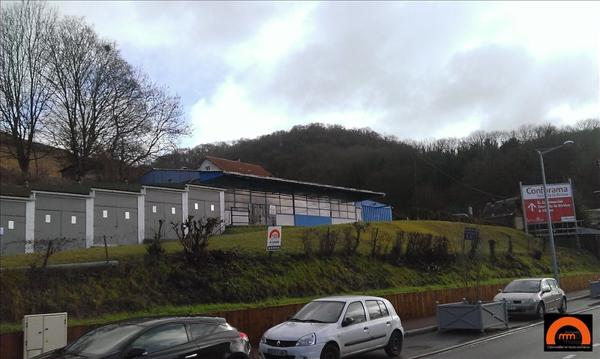 ROUTE DE PARIS - AMFREVILLE LA MI VOIE - BATIMENT ARTISANAL