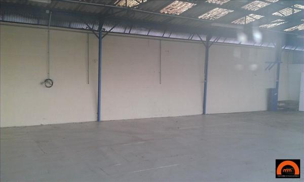 ROUTE DE PARIS - AMFREVILLE LA MI VOIE - BATIMENT ARTISANAL