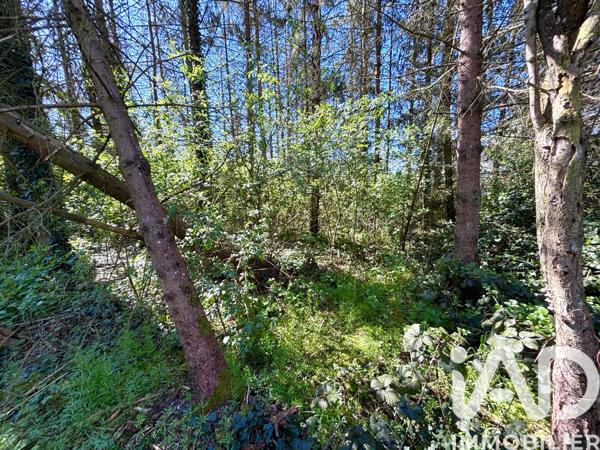 Maison à vendre 8 pièces 180 m² Châtenois
