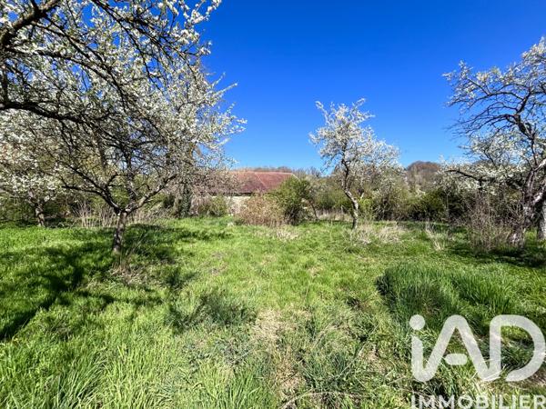 Maison à vendre 8 pièces 180 m² Châtenois
