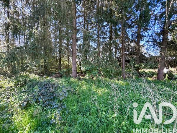Maison à vendre 8 pièces 180 m² Châtenois