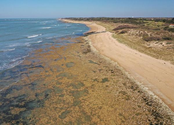 Maison à vendre    4 pièces •  Saint-Pierre-d'Oléron