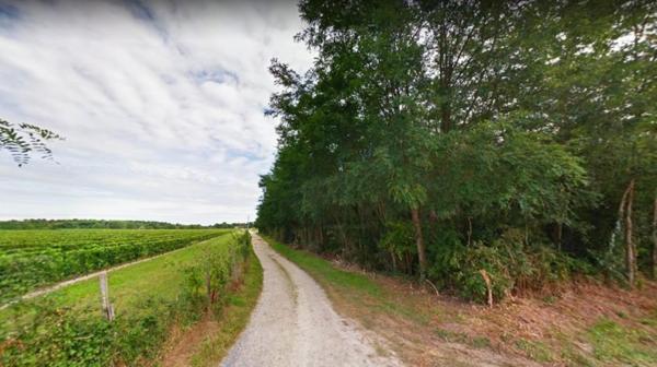 terrain viabilisé de 723m2 a Roaillan