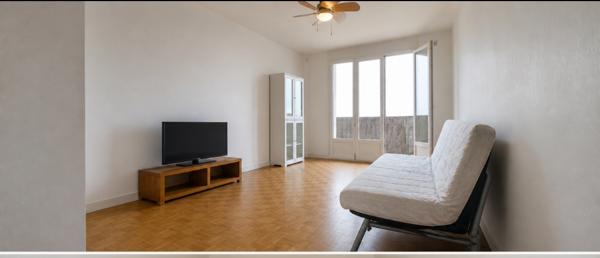 appartement familial 80m2  quartier La Fuye-Velpeau