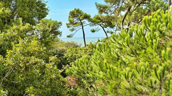 Appartement Vaux Sur Mer 1 pièce(s) 25.61 m2