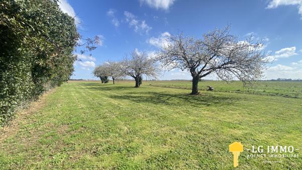 Votre recherche de biens