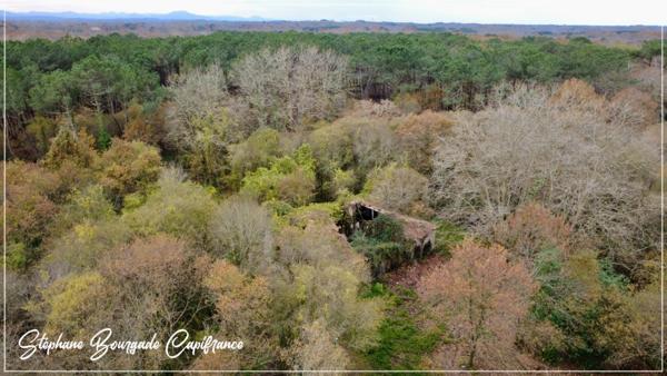 Propriete à vendre 0 pièces SAINT MARTIN DE HINX (40)