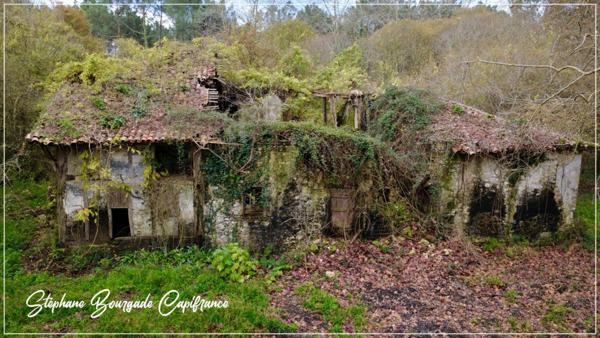 Propriete à vendre 0 pièces SAINT MARTIN DE HINX (40)