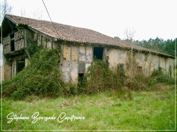Propriete à vendre 0 pièces SAINT MARTIN DE HINX (40)