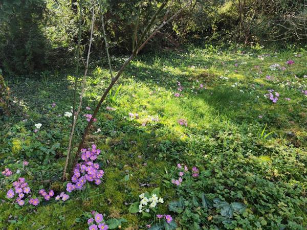 Maison de ville centre Ruffec