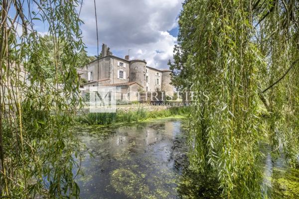 Deux-sévres – Magnifique château à vendre
