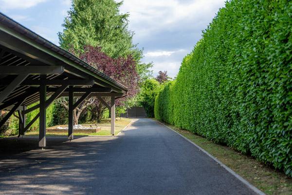 Propriété d'exception aux portes d'Aix-les-Bains - calme - piscine