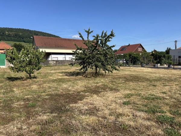 Vente / Terrain constructible