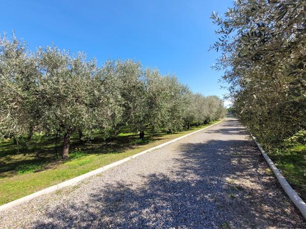 Maison 4 pièces - 140 m²