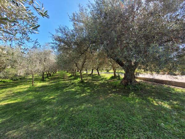 Maison 4 pièces - 140 m²