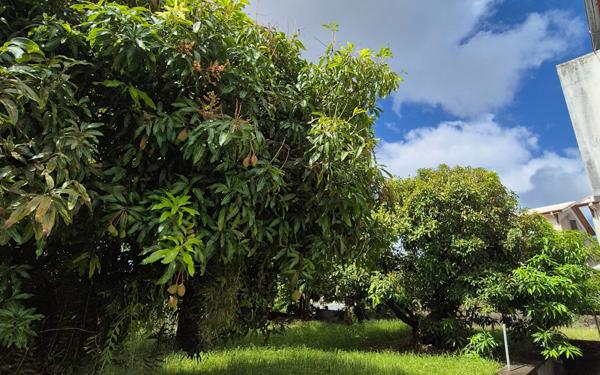 Maison à vendre    5 pièces • 296 m2 Fort-de-France