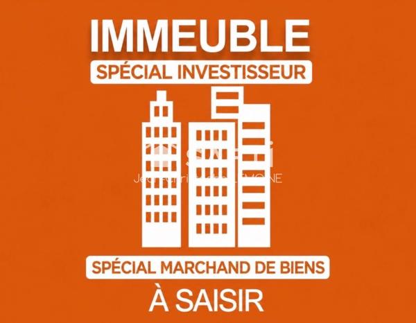 Domaine à potentiel investisseur ou marchand de biens