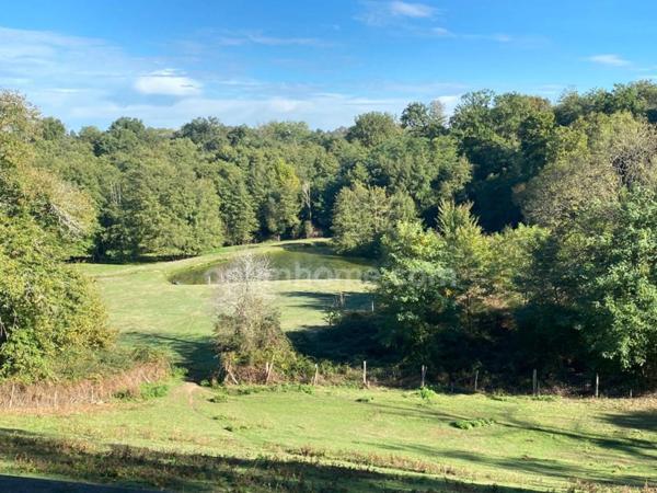 SUPERBE GASCONNE DE CARACTERE, MAISON D'AMIS, PISCINE.