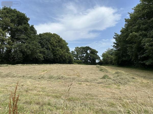 Maison à vendre à Vasteville dans la Manche (50440), ref : 50040-681