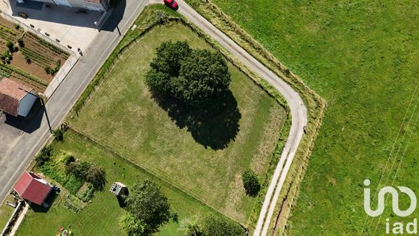 Terrain à vendre 1 545 m² Celles-en-Bassigny