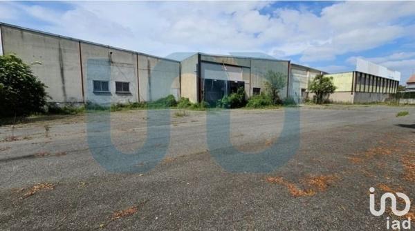 Murs commerciaux  à vendre 3 800 m² Amilly