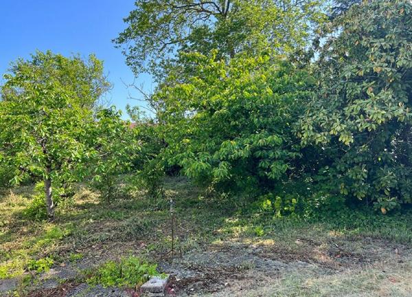 Maison à vendre    4 pièces •  Châteauneuf-sur-Loire