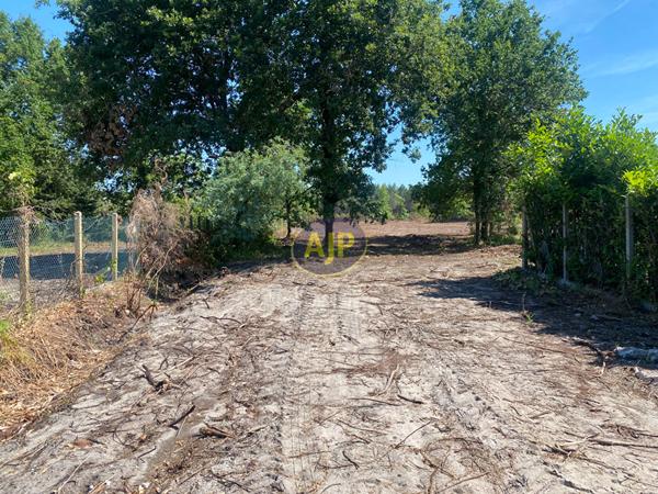 Vente terrain Hourtin : 155 500 € - AJP Hourtin Immobilier