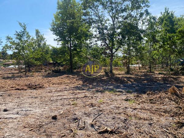 Vente terrain Hourtin : 155 500 € - AJP Hourtin Immobilier