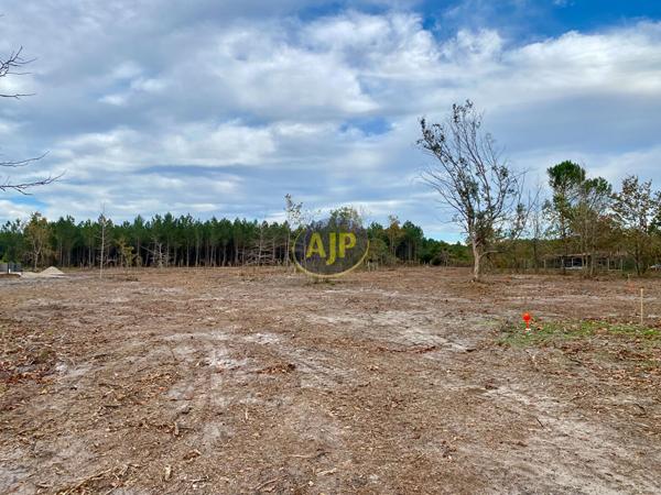 Terrains à vendre Hourtin : surface de 628 m2 à 145 500€ - AJP Hourtin Immobilier