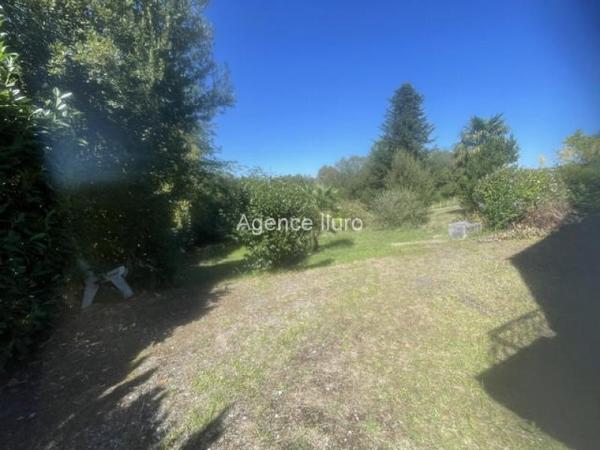 Maison - Proximite oloron-sainte-marie - Réf.:205435 EXCLUSIVITE- BELLE MAISON T4 DE CONCEPTION PLAIN-PIED AVEC GRAND SOUS-SOL ET JOLI PARC ARBORE -