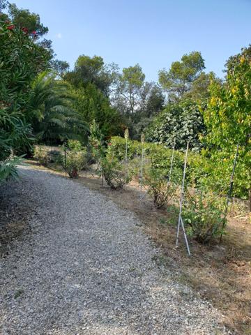 Achat maison Palaja - 4 pièce(s) - 100 m² - 570 000 €