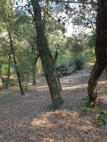 Achat maison Palaja - 4 pièce(s) - 100 m² - 570 000 €