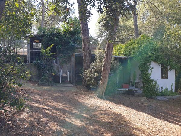 Achat maison Palaja - 4 pièce(s) - 100 m² - 570 000 €