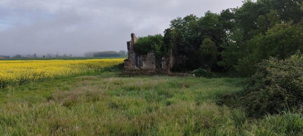 Très joli terrain avec ruine existante permettant de reconstruire une maison en lieu et place.