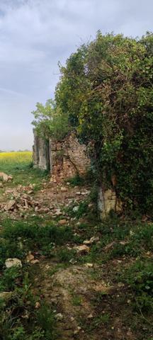 Très joli terrain avec ruine existante permettant de reconstruire une maison en lieu et place.