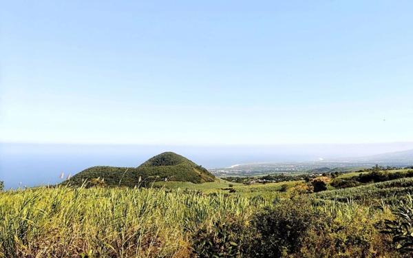 Maison à vendre    5 pièces • 124 m2 Petite-Île