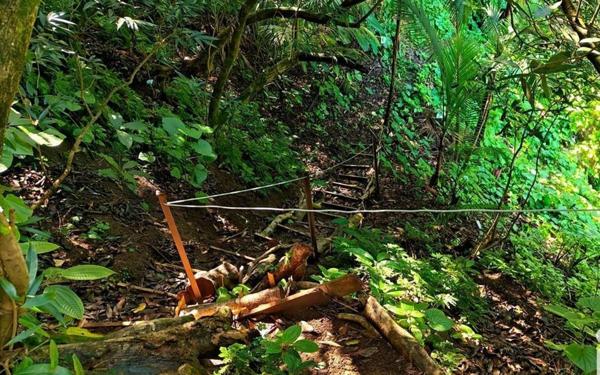 Maison à vendre    5 pièces • 124 m2 Petite-Île