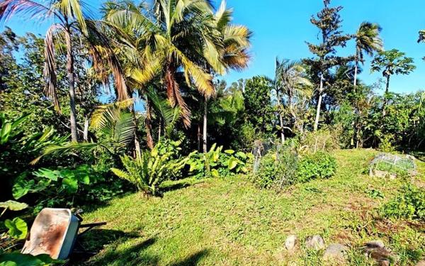 Maison à vendre    5 pièces • 124 m2 Petite-Île