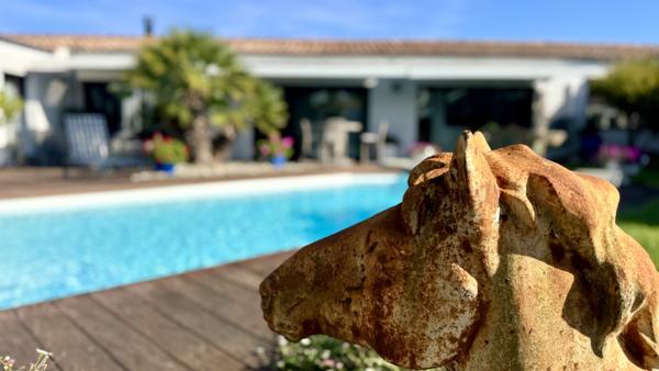 Coup de coeur assure !